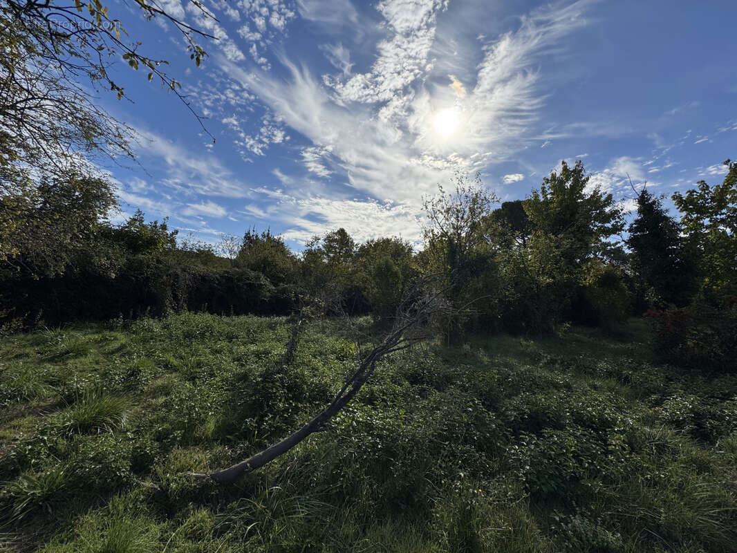 Terrain à CARNOULES