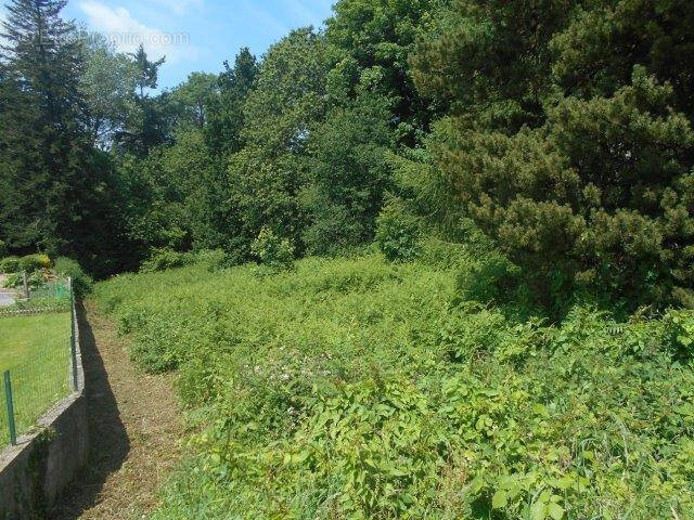 Terrain à ROSTRENEN
