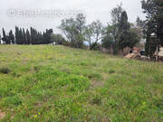 Terrain à CASTELNAU-D&#039;AUDE