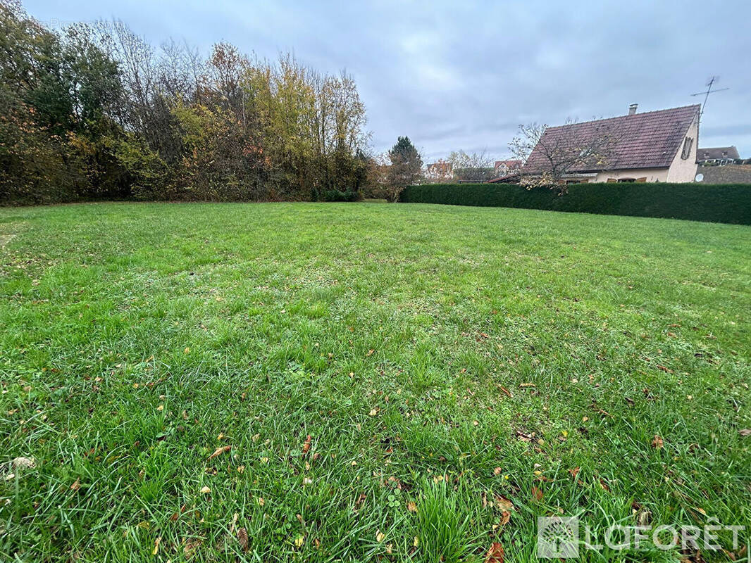 Terrain à FEREBRIANGES
