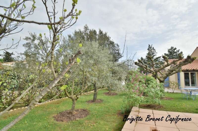 Maison à SAINT-MAXIMIN-LA-SAINTE-BAUME