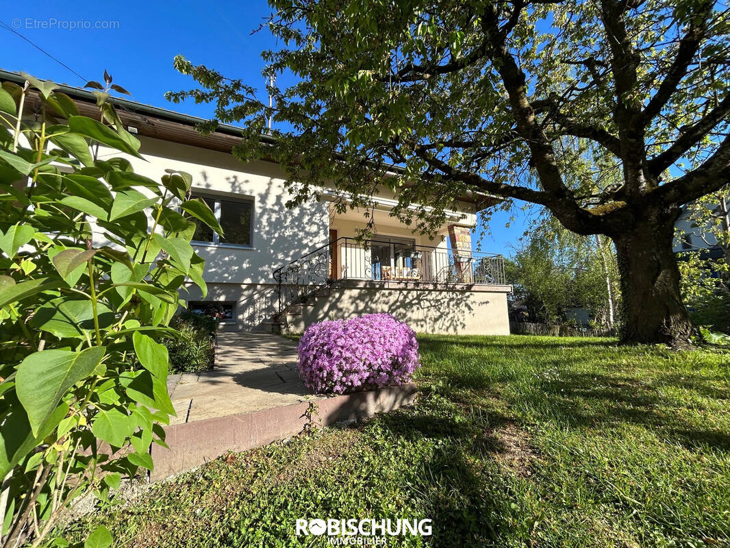 Maison à BIEDERTHAL