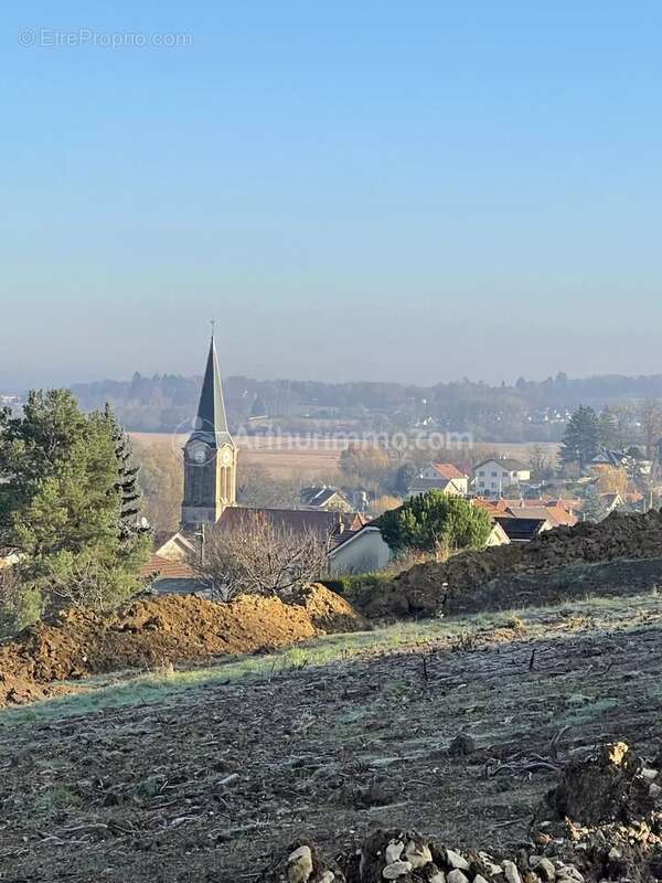Terrain à FESCHES-LE-CHATEL