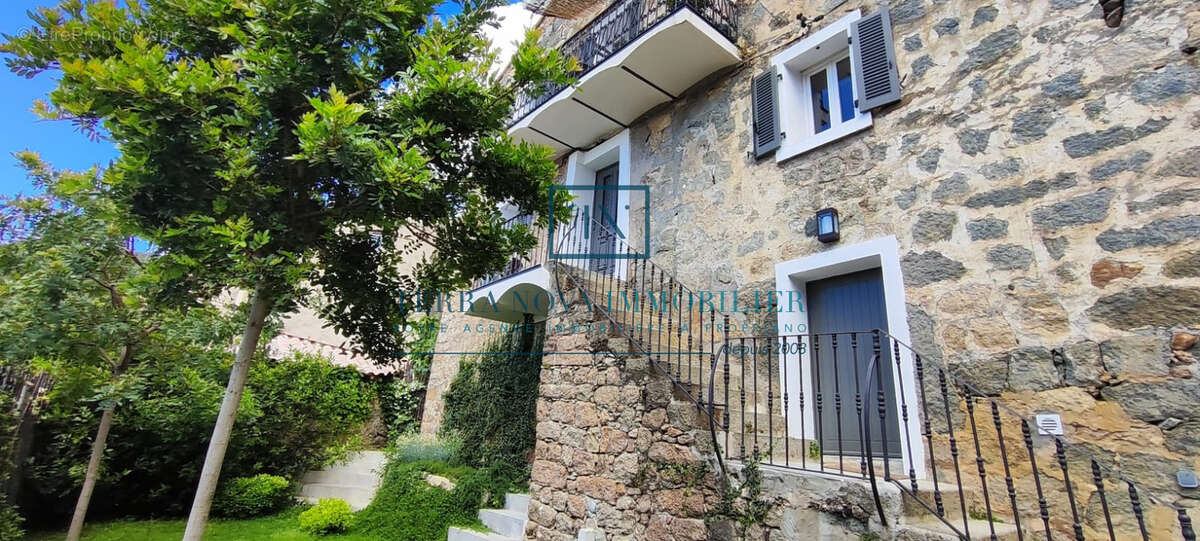 Maison à OLMETO