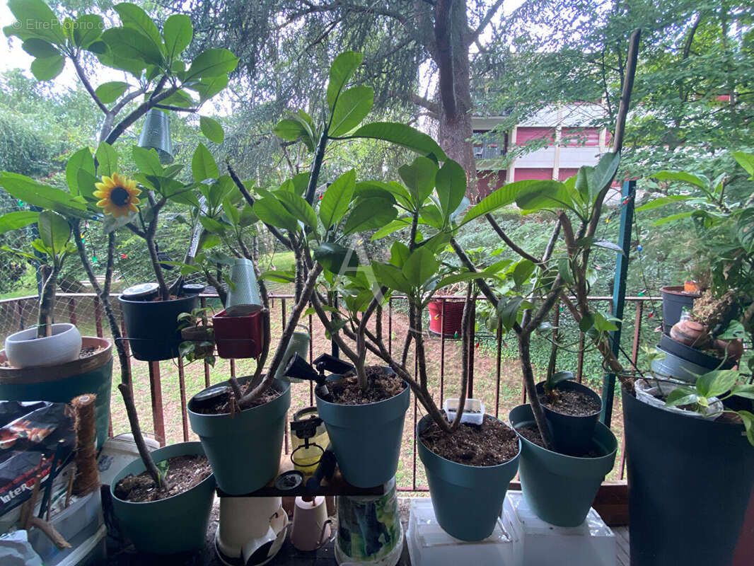 Appartement à GIF-SUR-YVETTE