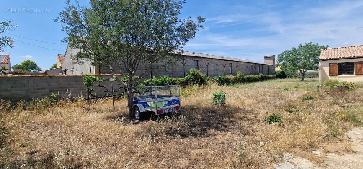 Terrain à SAINT-NAZAIRE-D'AUDE