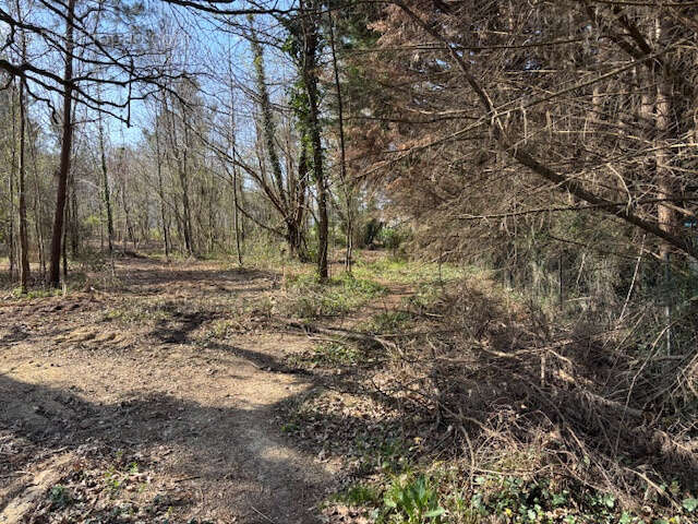 Terrain à SEIGNOSSE