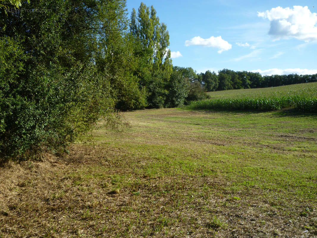 Terrain de loisir - photo 13