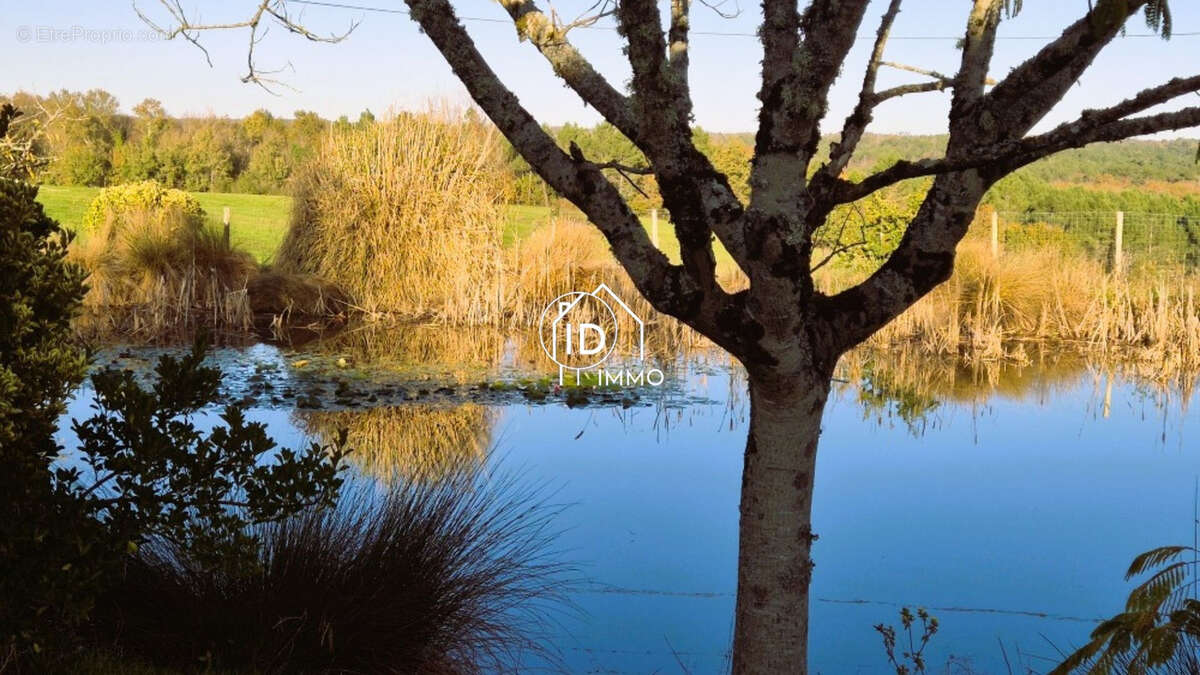 Maison, dépendances, terrain à la campagne - photo 3