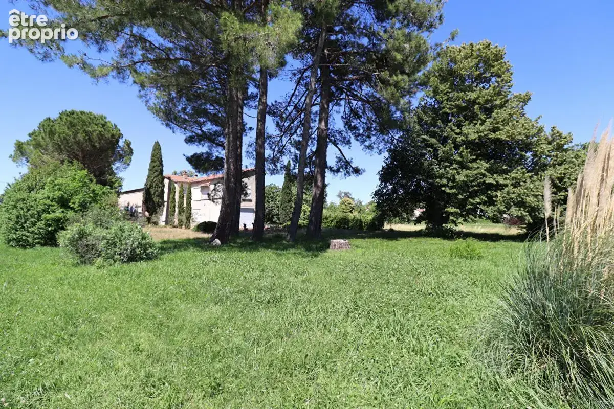 Maison Montfavet 9 pièce(s) 280 m2 - photo 3