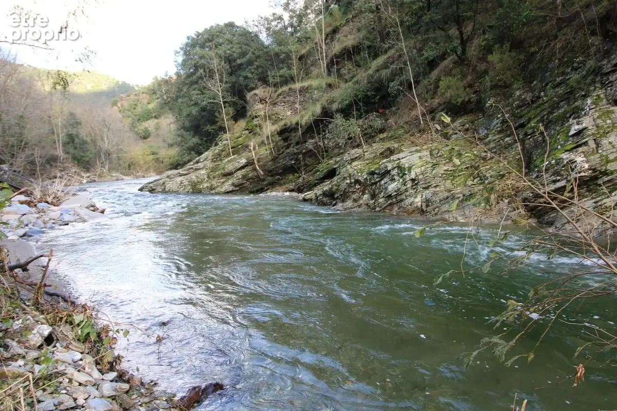 MAS 360 de volume + 25 hectares. - photo 128