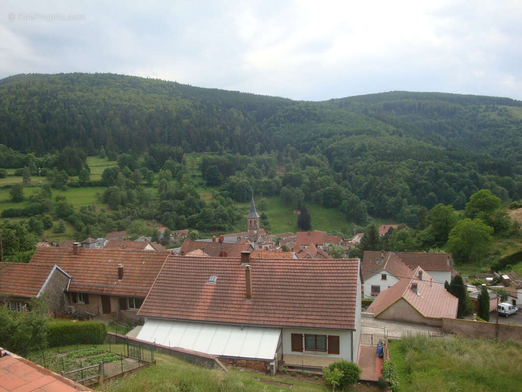 Natzwiller, exceptionnel, terrain à bâtir sur les hauteurs : projet de construction « Prêt à démarrer » avec v - photo 12
