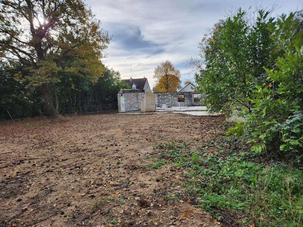 Terrain à NEUVY-EN-SULLIAS