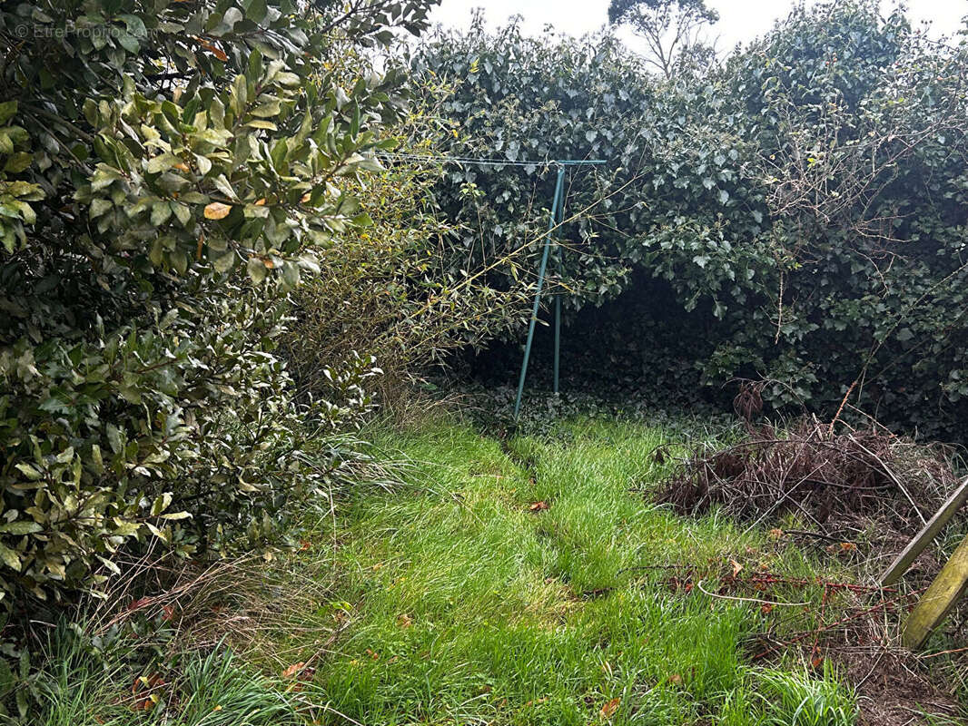 Terrain à SAINT-PIERRE-D&#039;OLERON