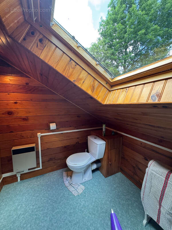 Chalet Terrain Garage Laveissiere - photo 12