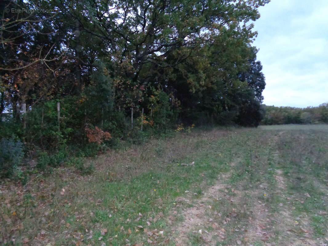 Gard Villevieille Terrain Agricole - photo 2