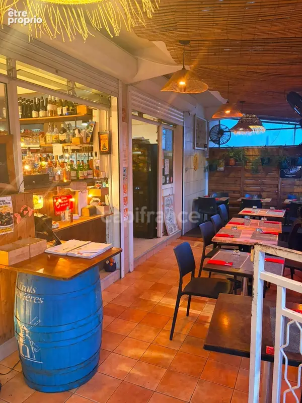Belle opportunité - pizzeria - ste luce - superbe emplacement - fort potentiel - photo 3