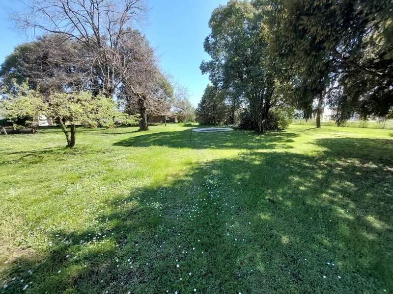 Maison de maitre avec  dependances deux pigeonniers sur parc de 5000m² - photo 5