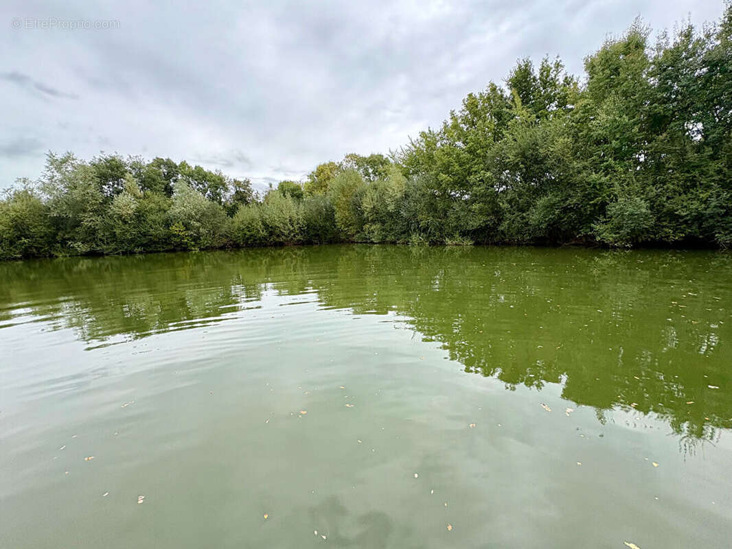 ETANG DE 2 HA  Proche Chateau la Vallière - photo 2