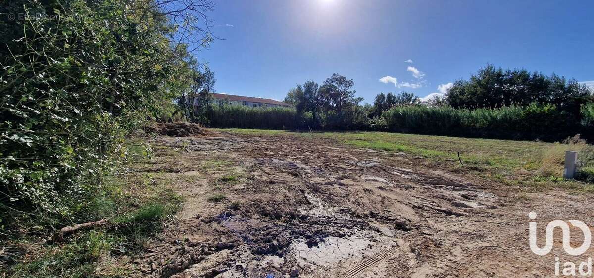 Photo 5 - Terrain à BAHO