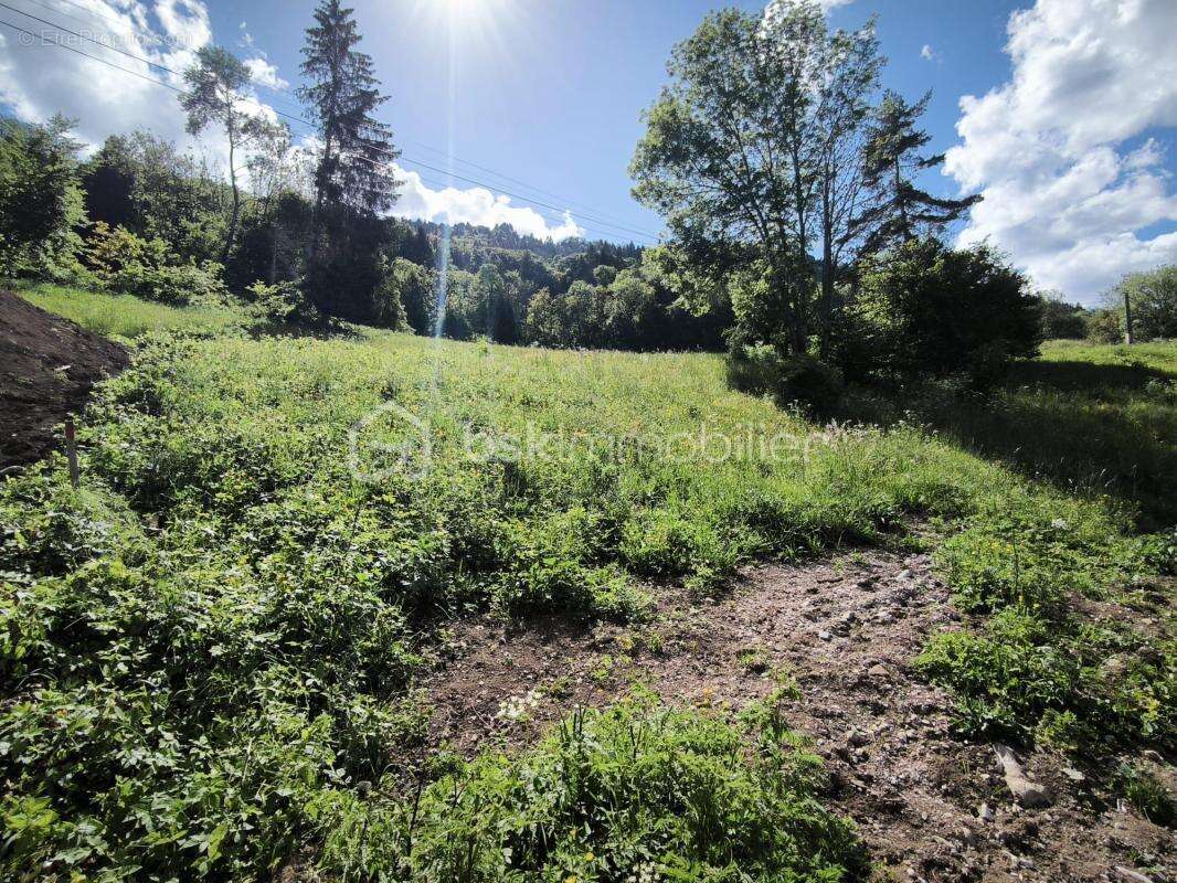 Terrain à MIEUSSY