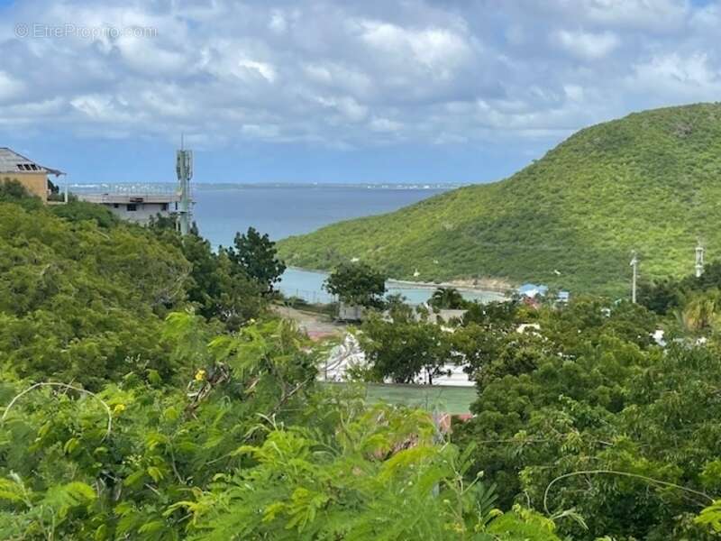 Terrain à SAINT-MARTIN
