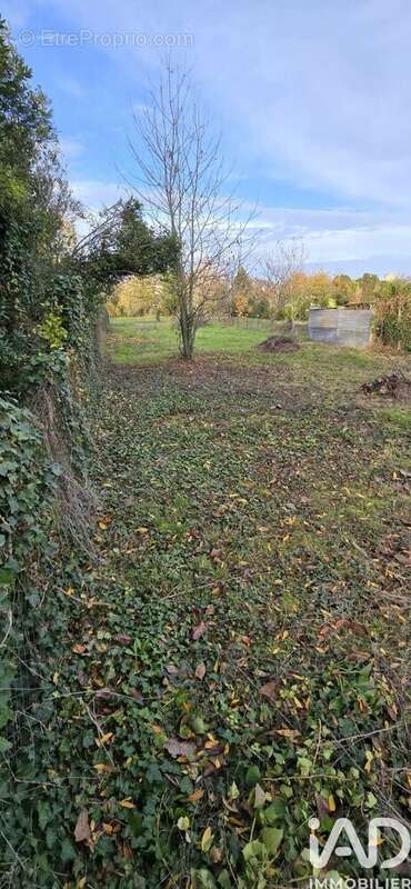 Photo 5 - Terrain à CEAUX-EN-COUHE