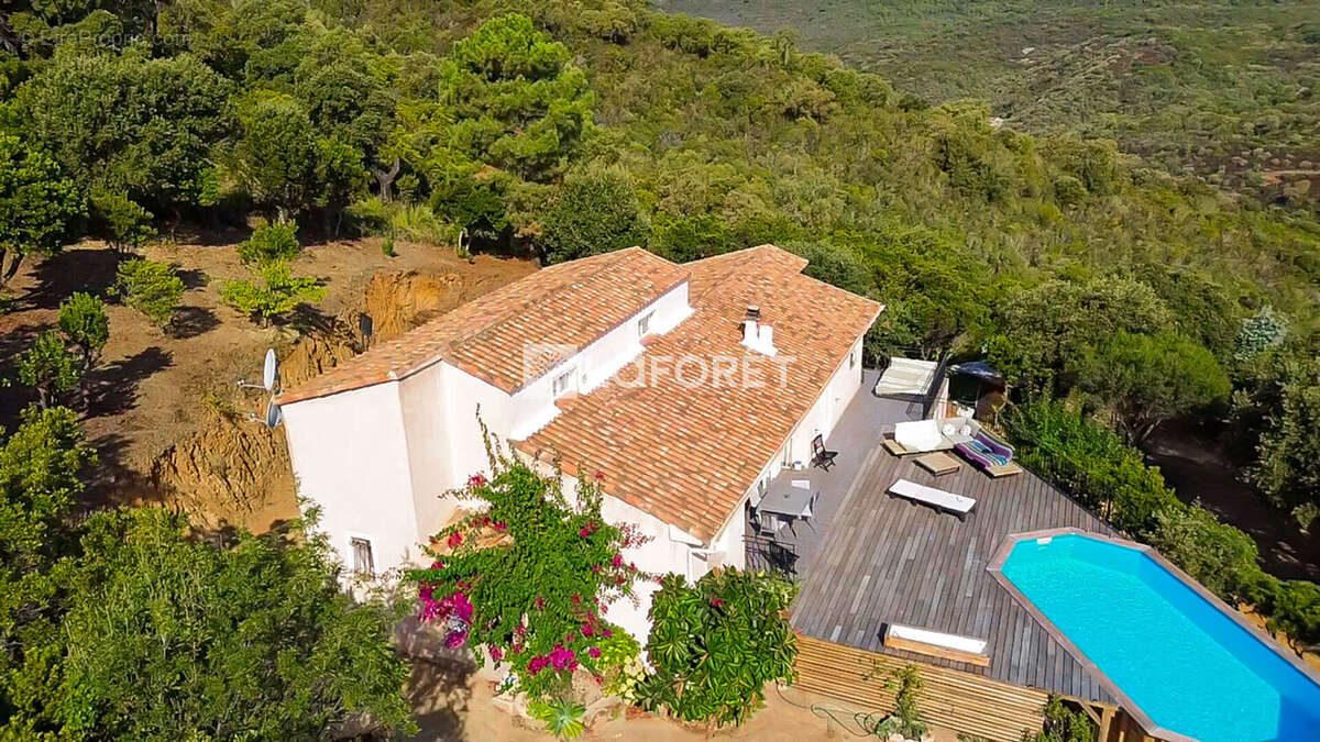 CONCA - Villa cinq pièces avec vue mer panoramique - photo 4