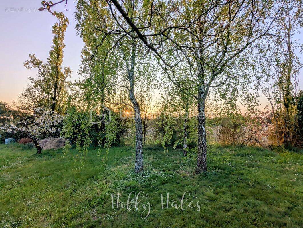 Maison à LE LOROUX-BOTTEREAU