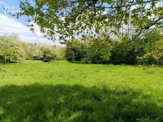 Vertou 4 000 m2 pour voir la vie en grand, au calme et au vert !! - photo 3