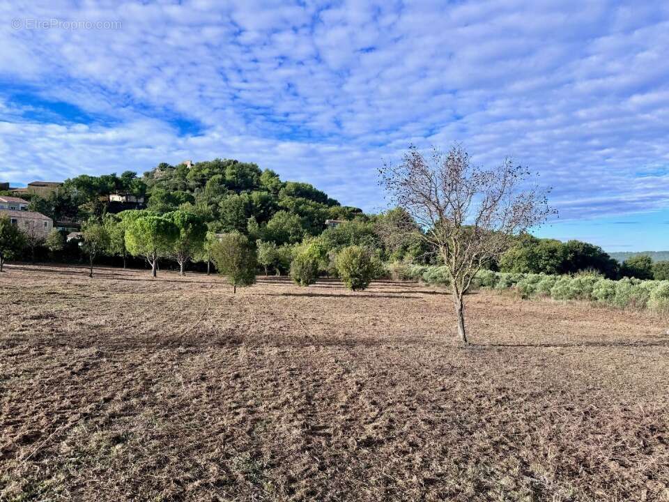Terrain à ROGNES