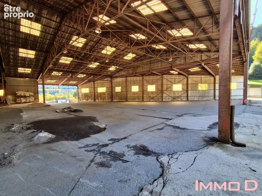 Commerce 3 400 m² à vendre à Docelles (88460) - photo 3
