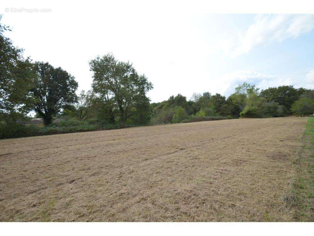 Terrain à PORCHERES