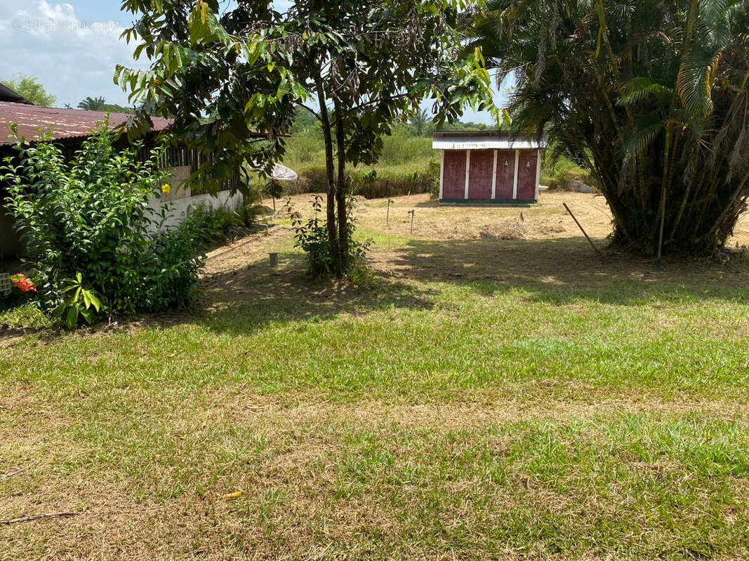 Terrain à MACOURIA