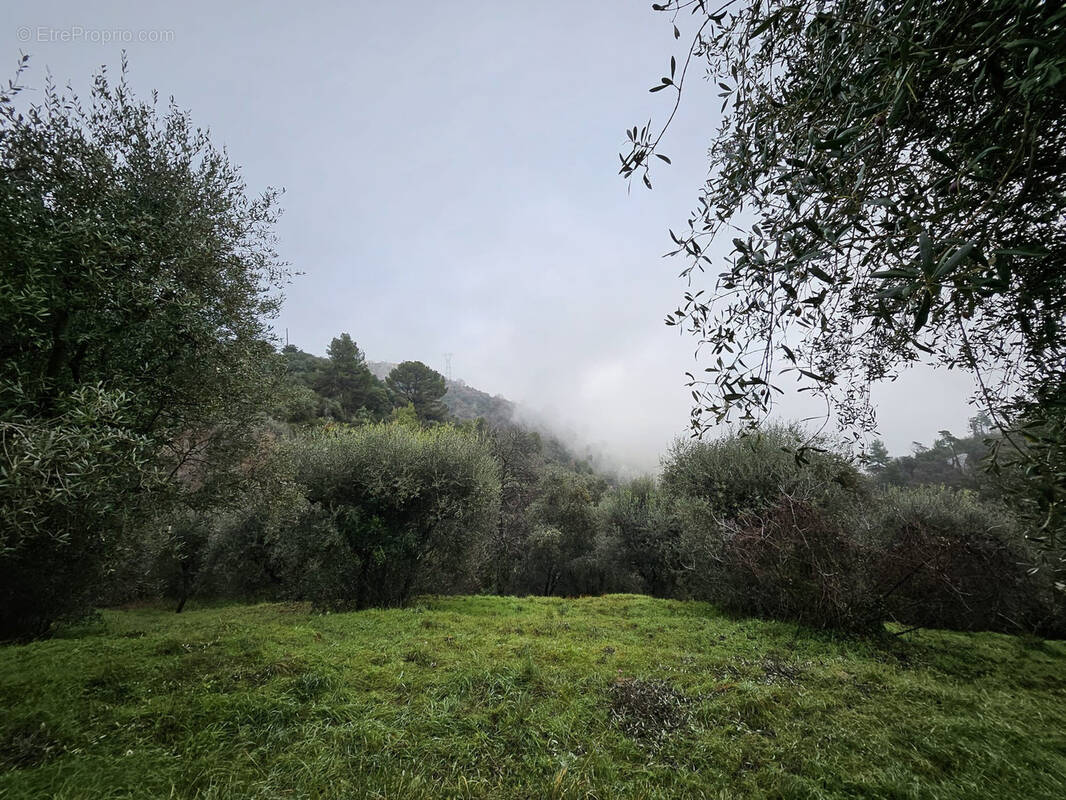 Terrain à BERRE-LES-ALPES