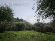 Terrain à BERRE-LES-ALPES