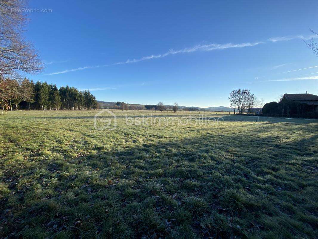 Terrain à SAINT-PAULIEN