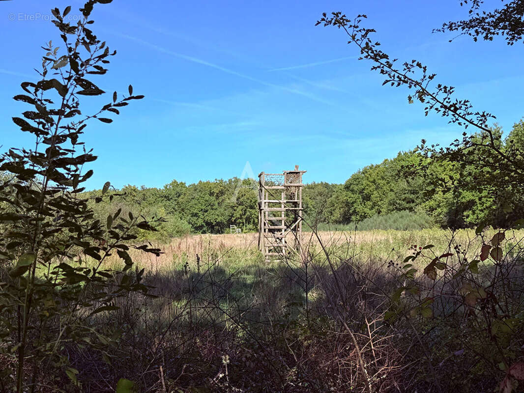Terrain à LA FERTE-SAINT-AUBIN