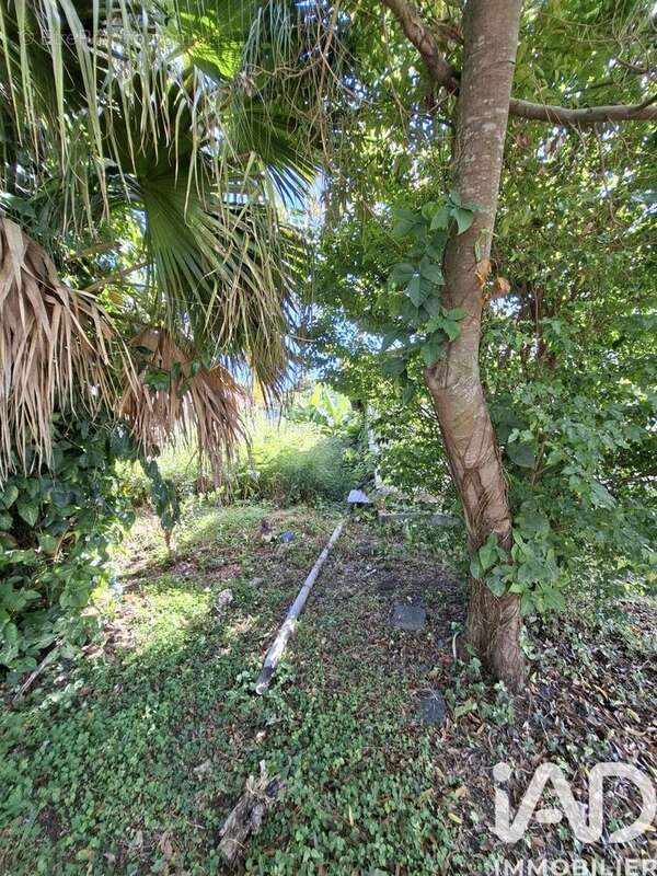 Photo 2 - Maison à LE TAMPON