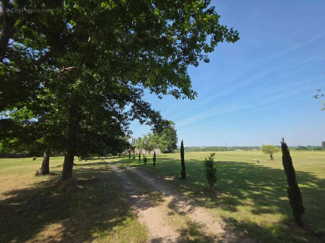Belle maison entre Eymet et Duras avec 4 hectares de terrain - photo 2