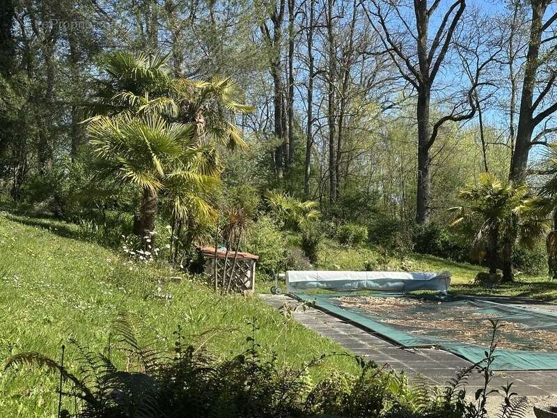 Maison de campagne, isolée, parc arboré, piscine - photo 25