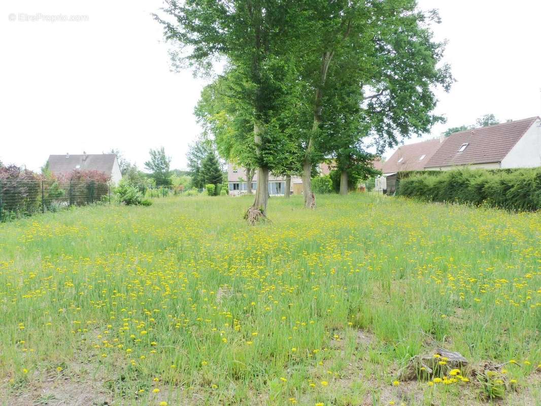 Il est entièrement borné - Terrain à MONS-EN-LAONNOIS