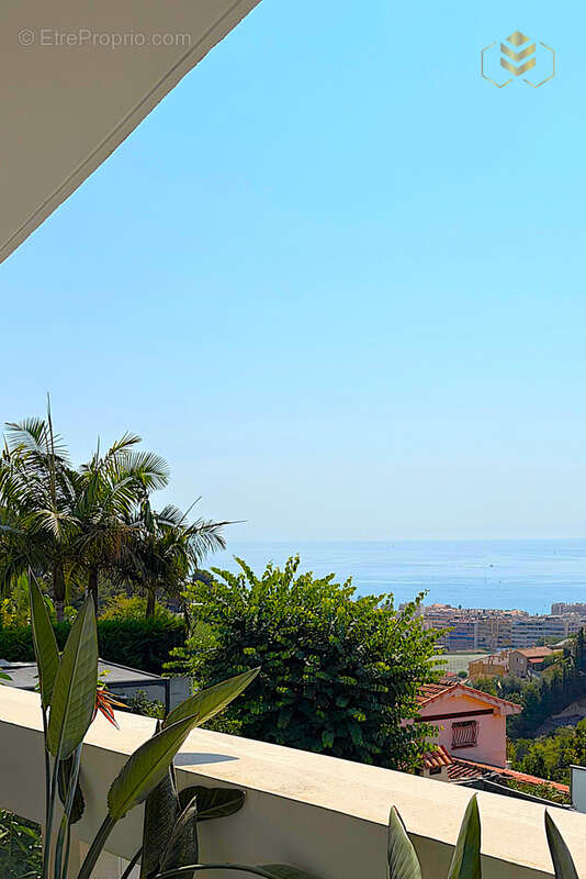 Exceptionnel coup de coeur a roquebrune-cap-martin - photo 26