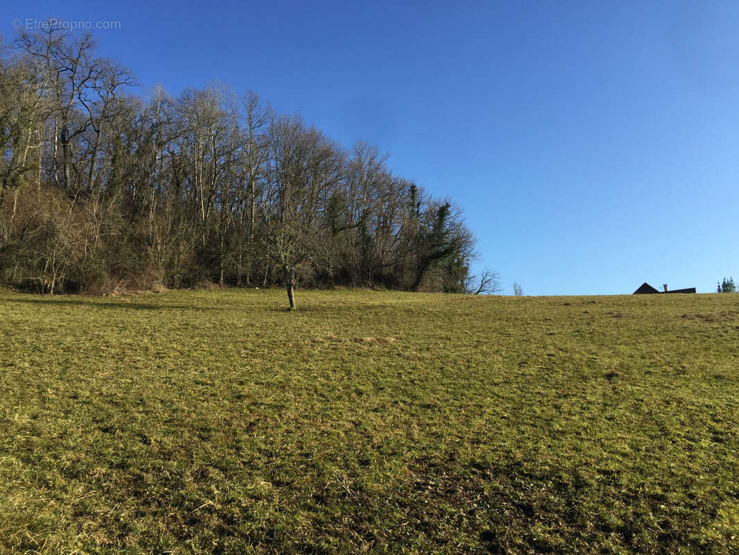 Terrain à LASSEUBE