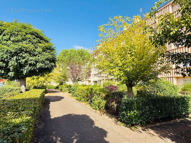 Appartement à ROANNE
