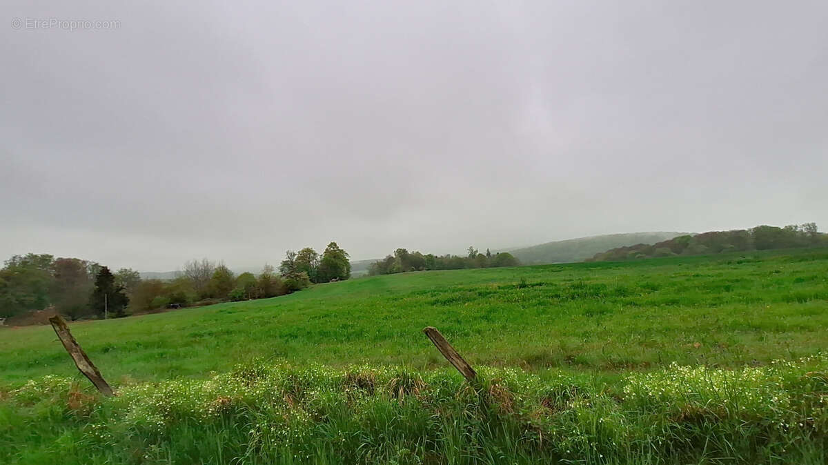 Terrain à COURCELLES