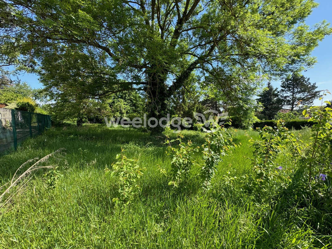 Terrain à MAURECOURT