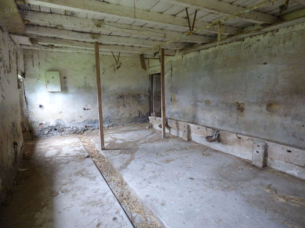 Ferme avec + de 6HA de terrain - photo 13