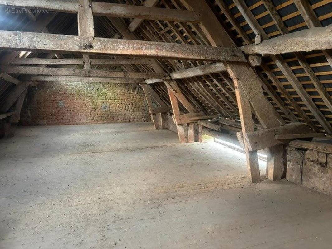 Photo 1 - Appartement à LA FERTE-MACE