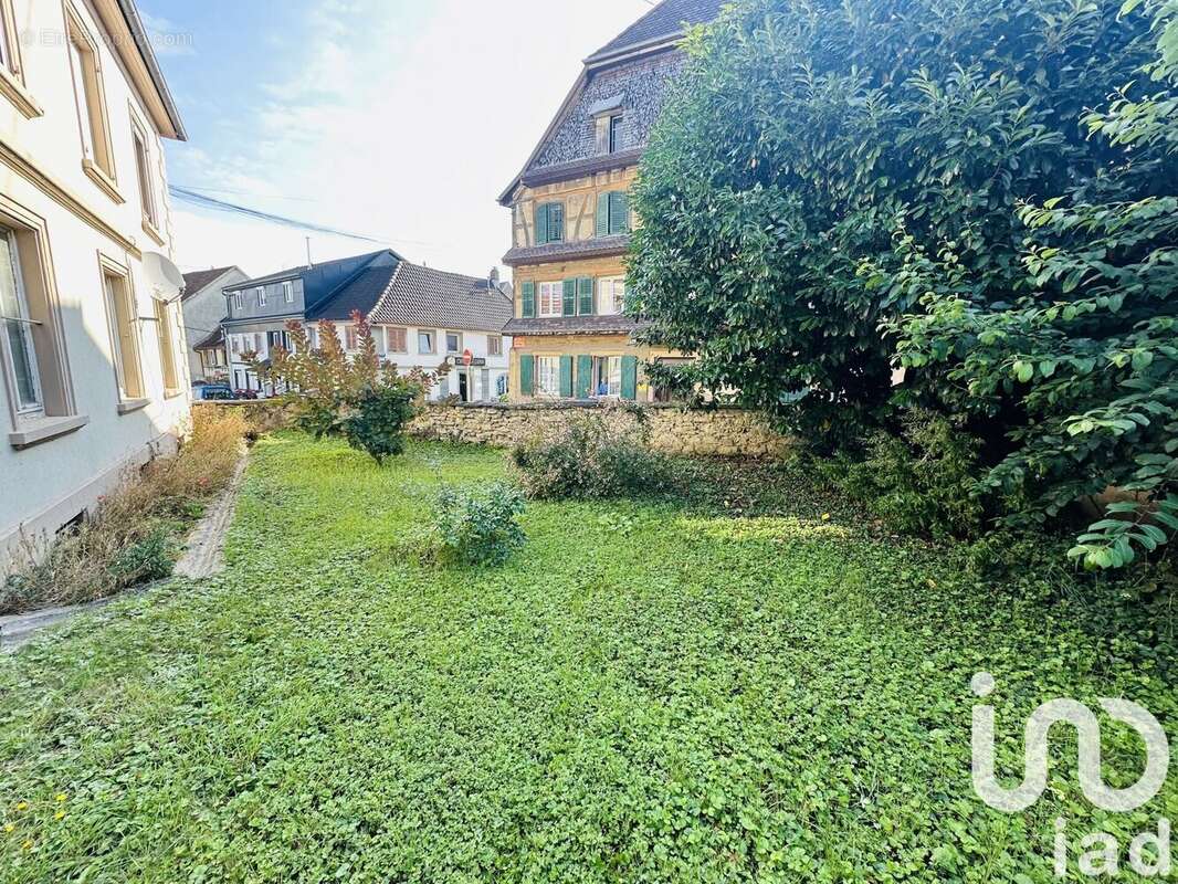 Photo 2 - Appartement à DANNEMARIE